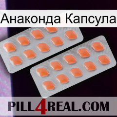 Анаконда Капсула 27